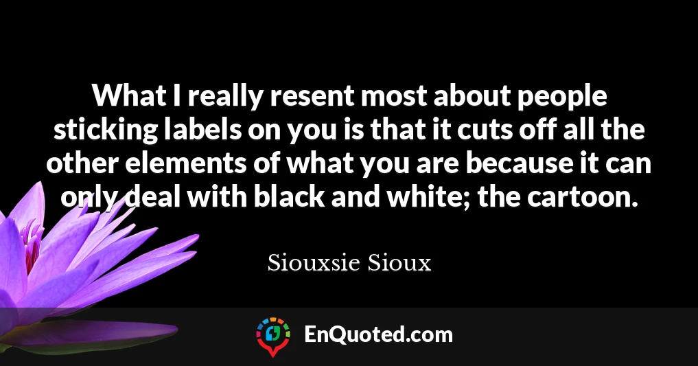 What I really resent most about people sticking labels on you is that it cuts off all the other elements of what you are because it can only deal with black and white; the cartoon.