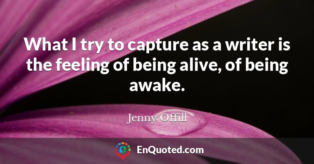 What I try to capture as a writer is the feeling of being alive, of being awake.