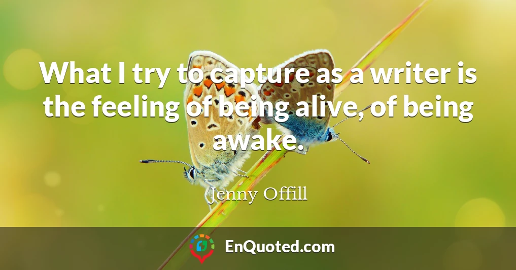 What I try to capture as a writer is the feeling of being alive, of being awake.