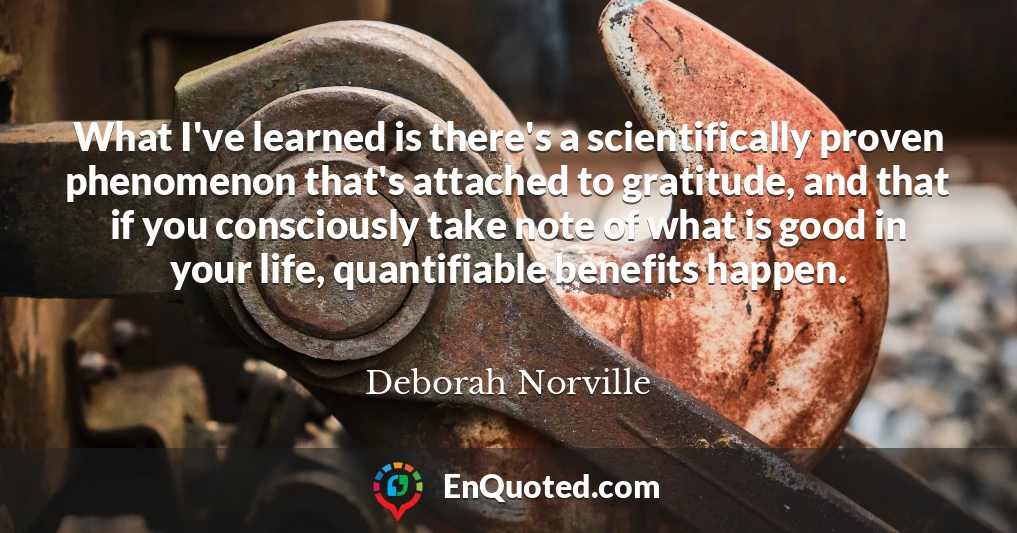What I've learned is there's a scientifically proven phenomenon that's attached to gratitude, and that if you consciously take note of what is good in your life, quantifiable benefits happen.
