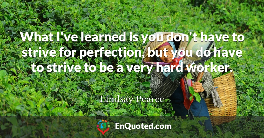 What I've learned is you don't have to strive for perfection, but you do have to strive to be a very hard worker.
