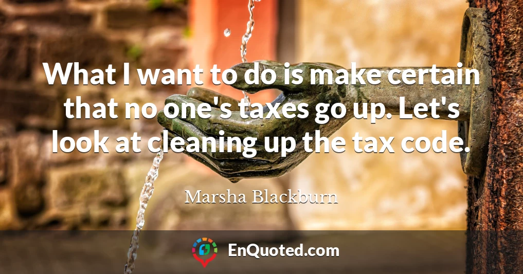 What I want to do is make certain that no one's taxes go up. Let's look at cleaning up the tax code.
