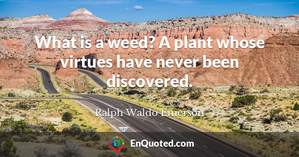 What is a weed? A plant whose virtues have never been discovered.