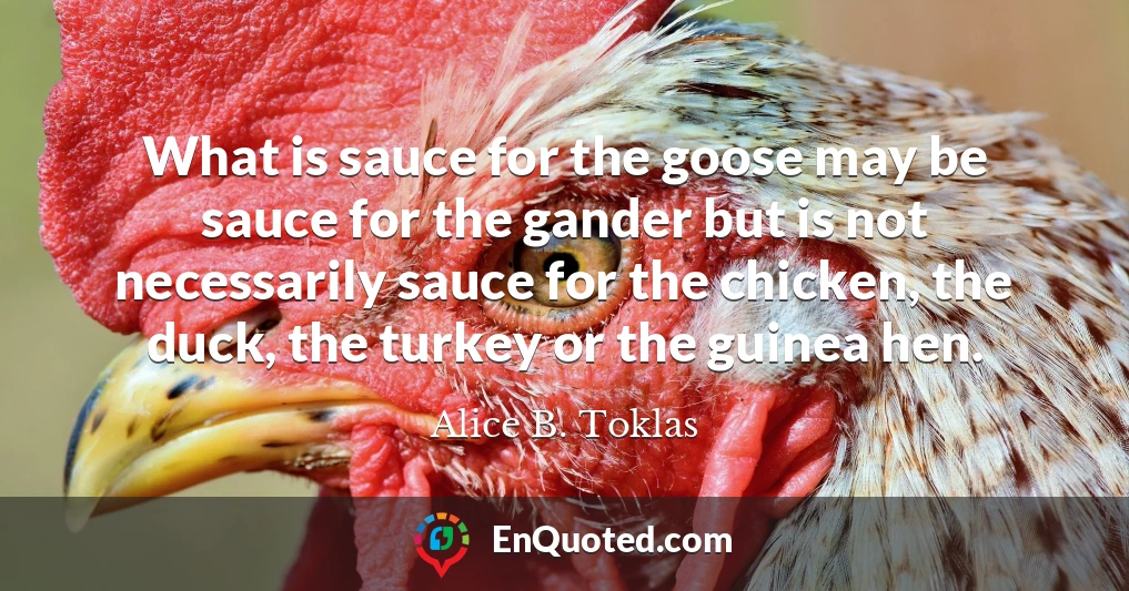 What is sauce for the goose may be sauce for the gander but is not necessarily sauce for the chicken, the duck, the turkey or the guinea hen.
