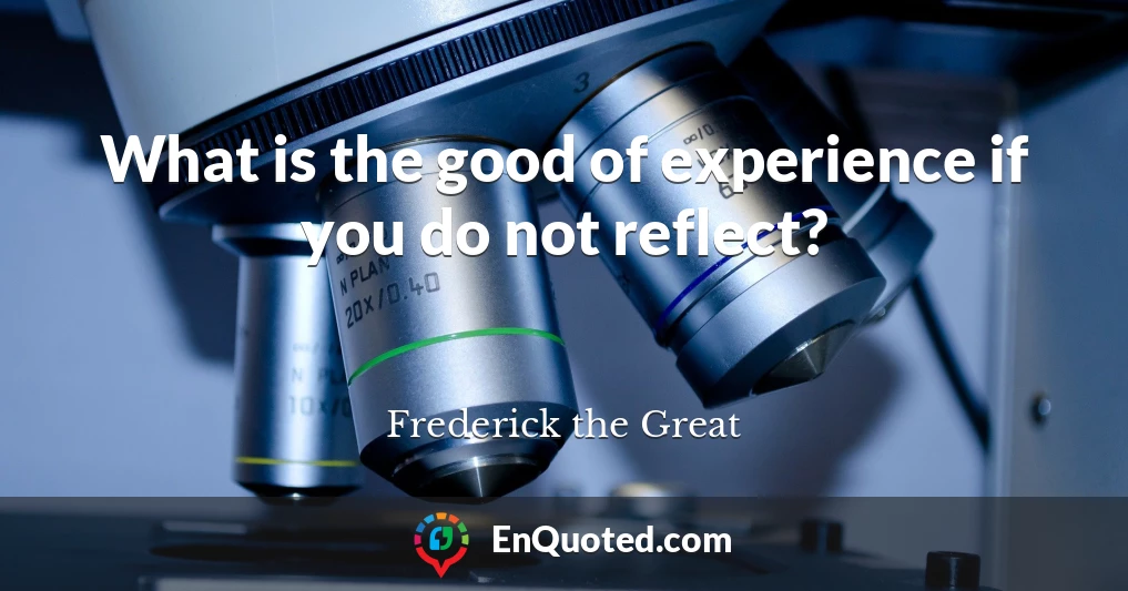 What is the good of experience if you do not reflect?