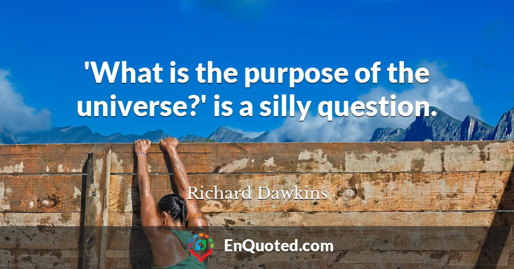 'What is the purpose of the universe?' is a silly question.