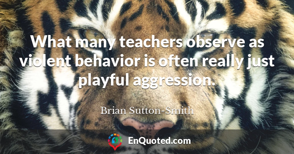 What many teachers observe as violent behavior is often really just playful aggression.