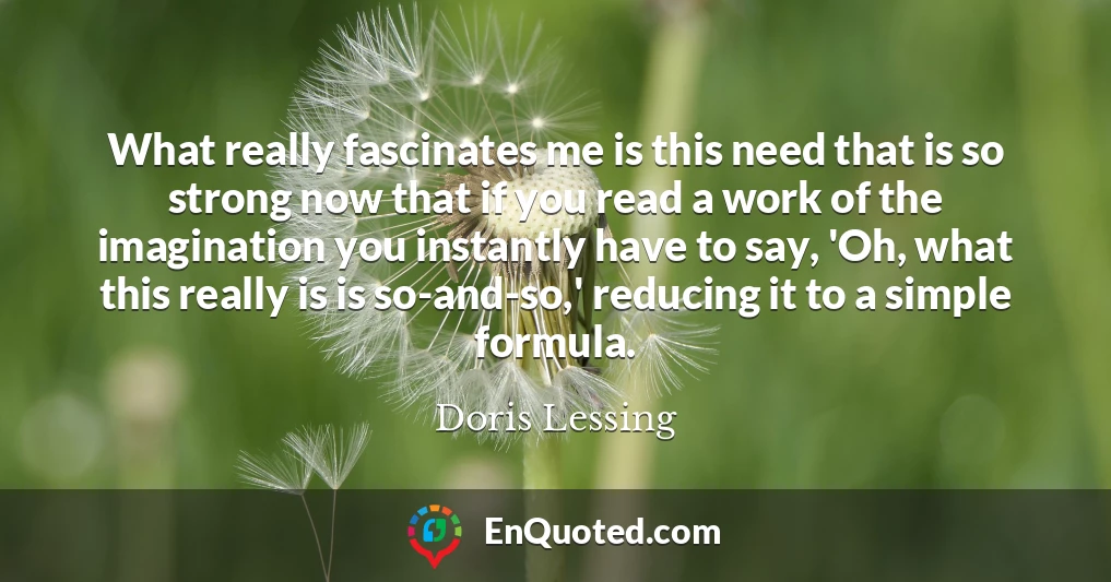 What really fascinates me is this need that is so strong now that if you read a work of the imagination you instantly have to say, 'Oh, what this really is is so-and-so,' reducing it to a simple formula.