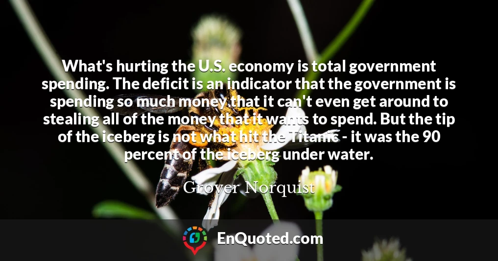 What's hurting the U.S. economy is total government spending. The deficit is an indicator that the government is spending so much money that it can't even get around to stealing all of the money that it wants to spend. But the tip of the iceberg is not what hit the Titanic - it was the 90 percent of the iceberg under water.