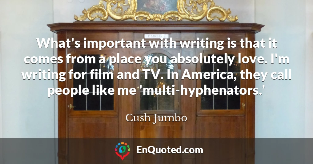 What's important with writing is that it comes from a place you absolutely love. I'm writing for film and TV. In America, they call people like me 'multi-hyphenators.'
