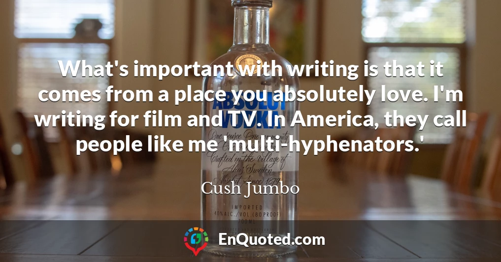 What's important with writing is that it comes from a place you absolutely love. I'm writing for film and TV. In America, they call people like me 'multi-hyphenators.'