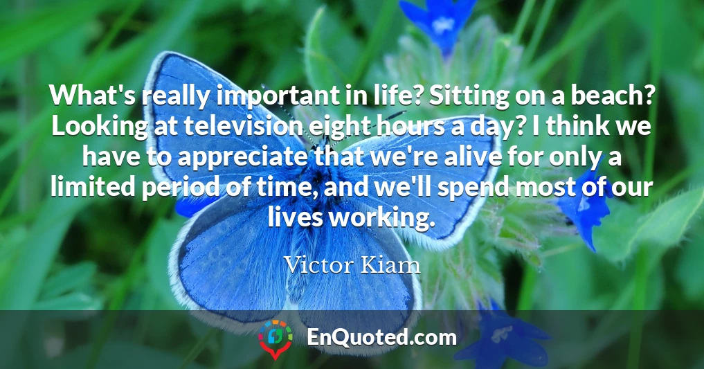 What's really important in life? Sitting on a beach? Looking at television eight hours a day? I think we have to appreciate that we're alive for only a limited period of time, and we'll spend most of our lives working.