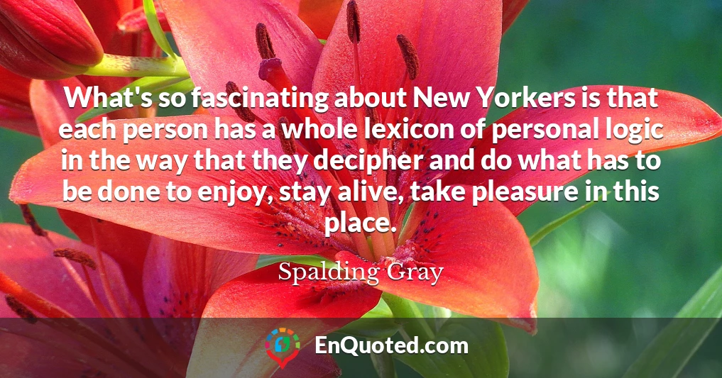 What's so fascinating about New Yorkers is that each person has a whole lexicon of personal logic in the way that they decipher and do what has to be done to enjoy, stay alive, take pleasure in this place.