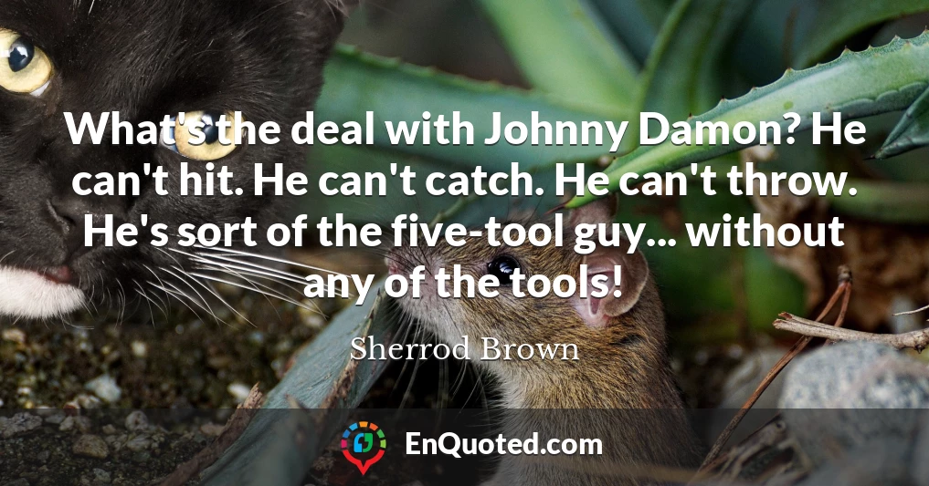 What's the deal with Johnny Damon? He can't hit. He can't catch. He can't throw. He's sort of the five-tool guy... without any of the tools!