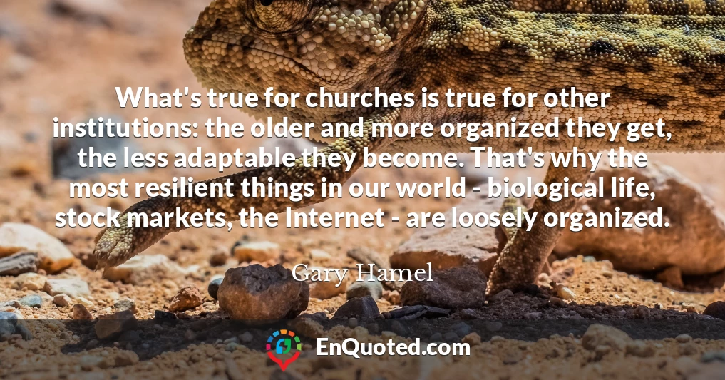 What's true for churches is true for other institutions: the older and more organized they get, the less adaptable they become. That's why the most resilient things in our world - biological life, stock markets, the Internet - are loosely organized.