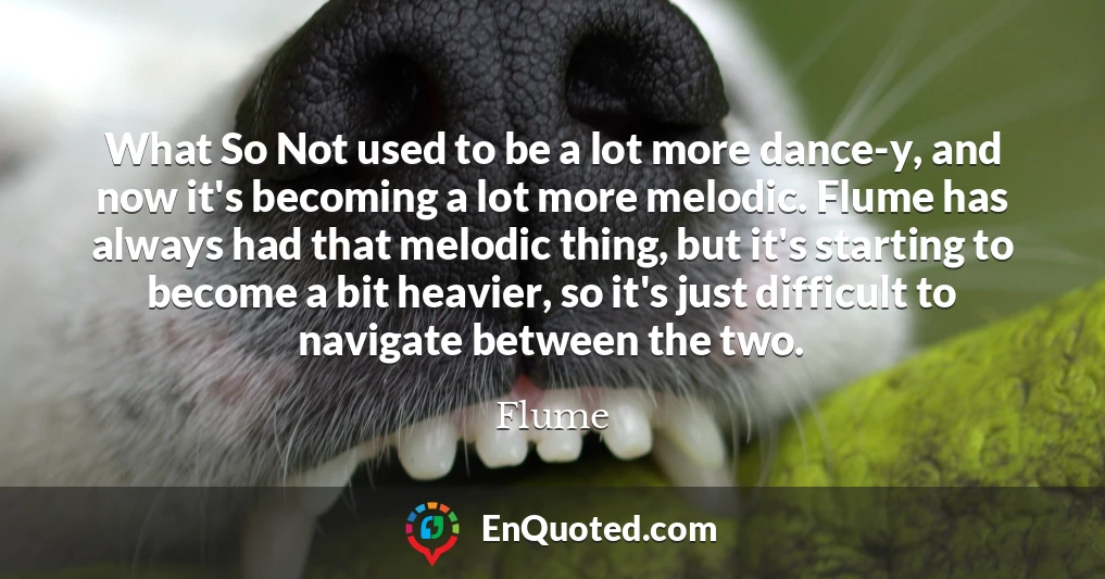 What So Not used to be a lot more dance-y, and now it's becoming a lot more melodic. Flume has always had that melodic thing, but it's starting to become a bit heavier, so it's just difficult to navigate between the two.