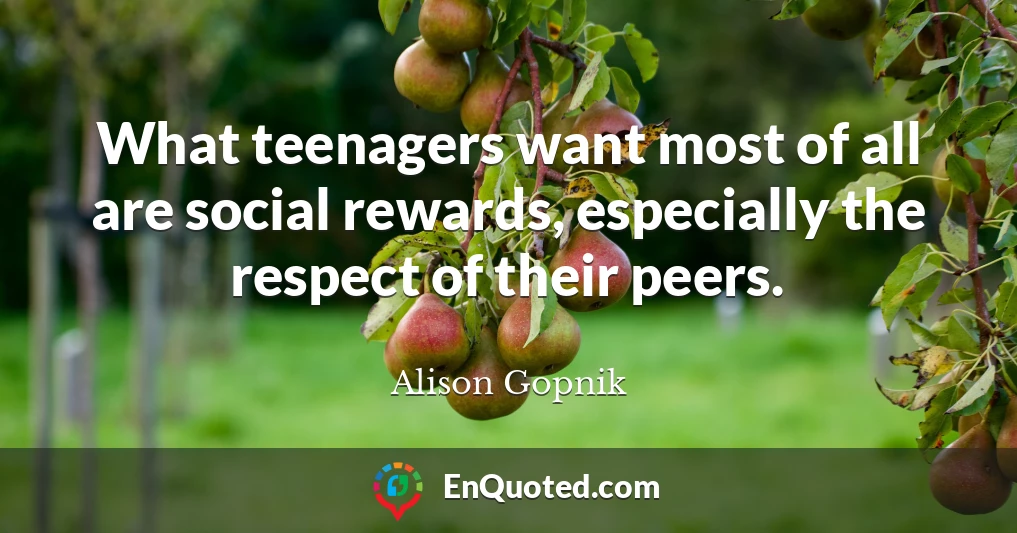What teenagers want most of all are social rewards, especially the respect of their peers.