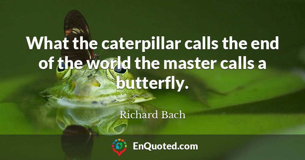 What the caterpillar calls the end of the world the master calls a butterfly.