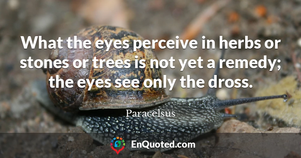 What the eyes perceive in herbs or stones or trees is not yet a remedy; the eyes see only the dross.