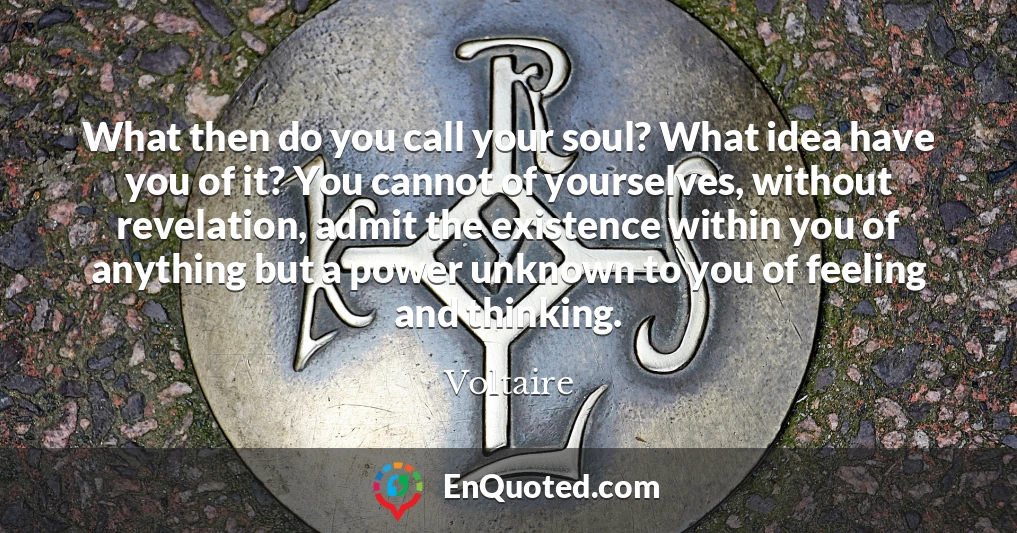 What then do you call your soul? What idea have you of it? You cannot of yourselves, without revelation, admit the existence within you of anything but a power unknown to you of feeling and thinking.