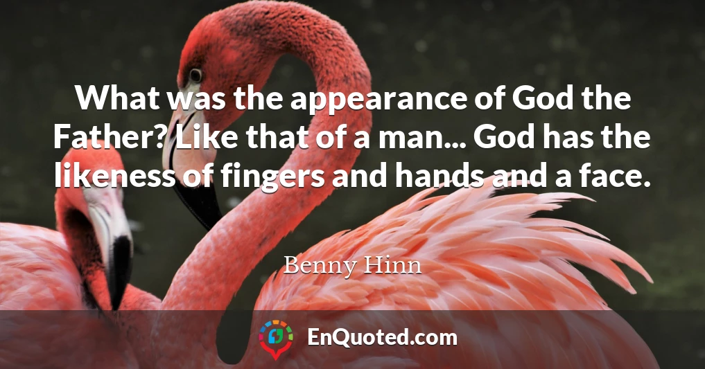 What was the appearance of God the Father? Like that of a man... God has the likeness of fingers and hands and a face.