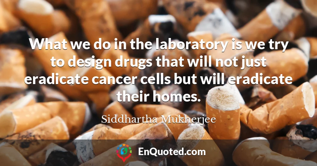 What we do in the laboratory is we try to design drugs that will not just eradicate cancer cells but will eradicate their homes.