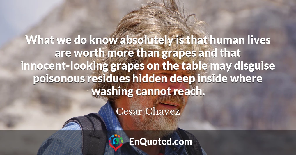 What we do know absolutely is that human lives are worth more than grapes and that innocent-looking grapes on the table may disguise poisonous residues hidden deep inside where washing cannot reach.