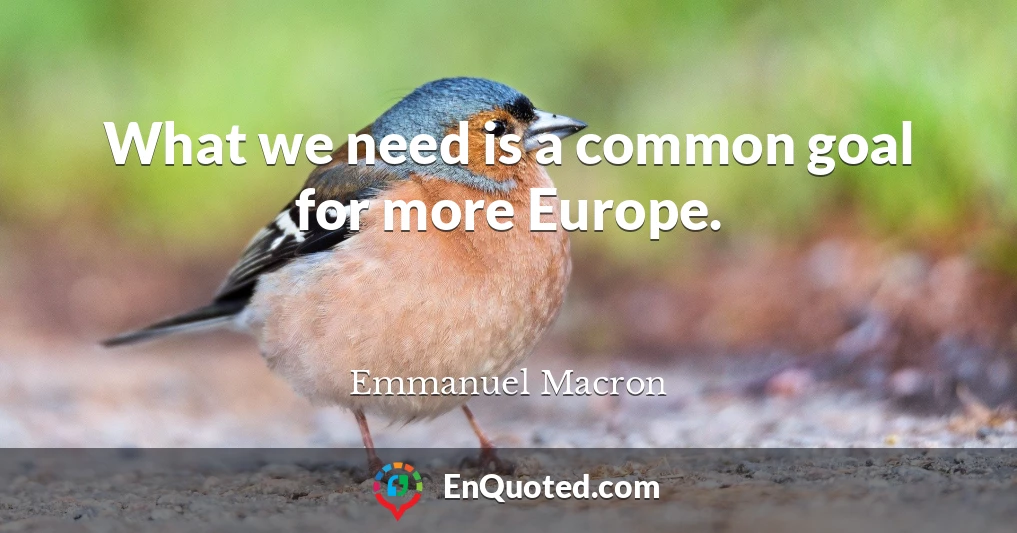 What we need is a common goal for more Europe.