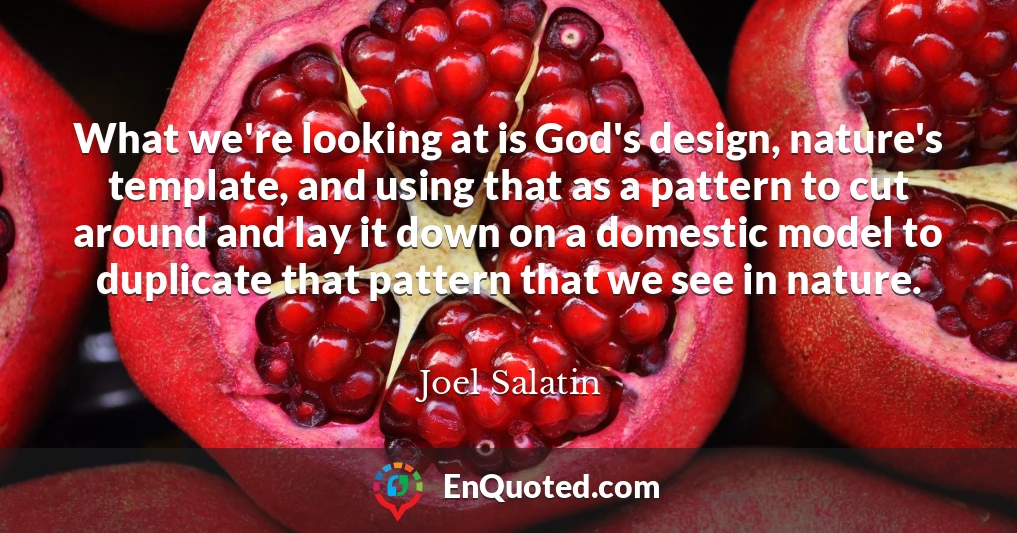 What we're looking at is God's design, nature's template, and using that as a pattern to cut around and lay it down on a domestic model to duplicate that pattern that we see in nature.