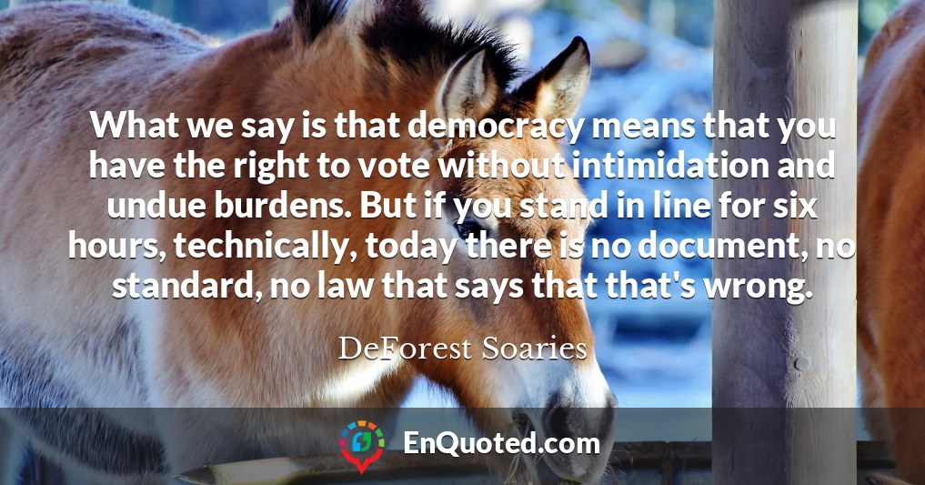 What we say is that democracy means that you have the right to vote without intimidation and undue burdens. But if you stand in line for six hours, technically, today there is no document, no standard, no law that says that that's wrong.