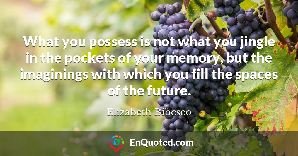 What you possess is not what you jingle in the pockets of your memory, but the imaginings with which you fill the spaces of the future.