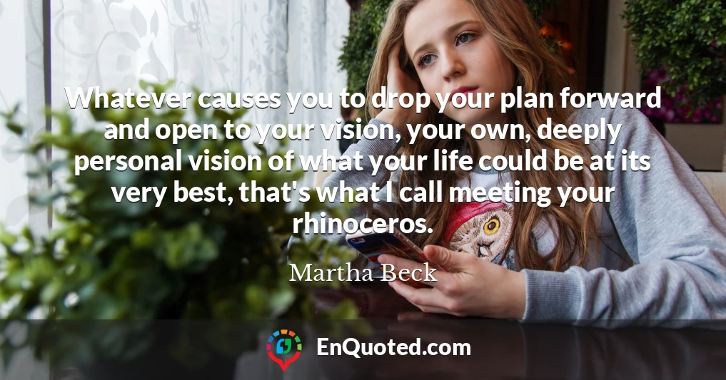 Whatever causes you to drop your plan forward and open to your vision, your own, deeply personal vision of what your life could be at its very best, that's what I call meeting your rhinoceros.
