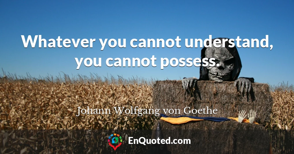 Whatever you cannot understand, you cannot possess.