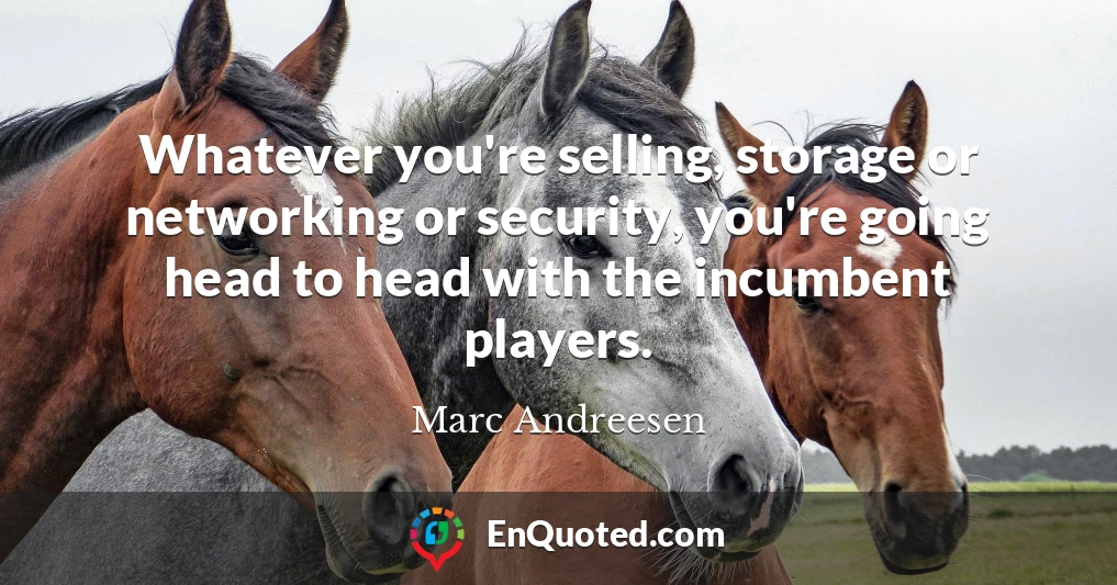 Whatever you're selling, storage or networking or security, you're going head to head with the incumbent players.
