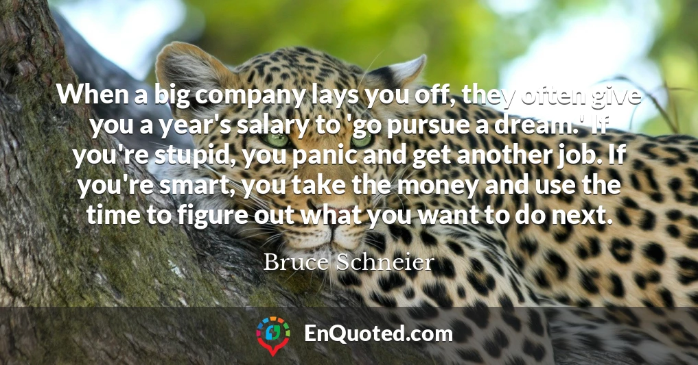 When a big company lays you off, they often give you a year's salary to 'go pursue a dream.' If you're stupid, you panic and get another job. If you're smart, you take the money and use the time to figure out what you want to do next.