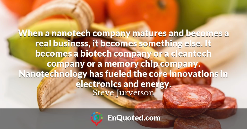 When a nanotech company matures and becomes a real business, it becomes something else. It becomes a biotech company or a cleantech company or a memory chip company. Nanotechnology has fueled the core innovations in electronics and energy.