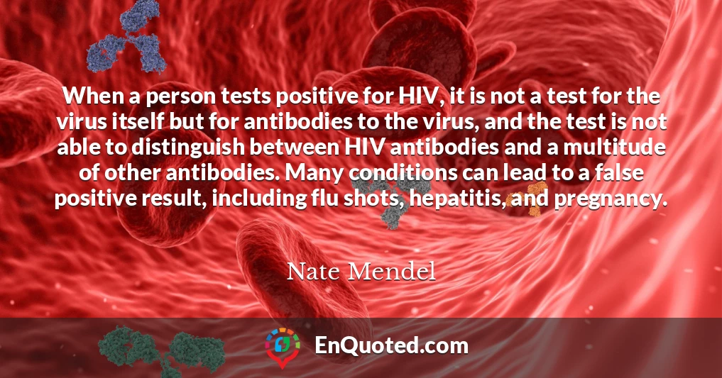 When a person tests positive for HIV, it is not a test for the virus itself but for antibodies to the virus, and the test is not able to distinguish between HIV antibodies and a multitude of other antibodies. Many conditions can lead to a false positive result, including flu shots, hepatitis, and pregnancy.