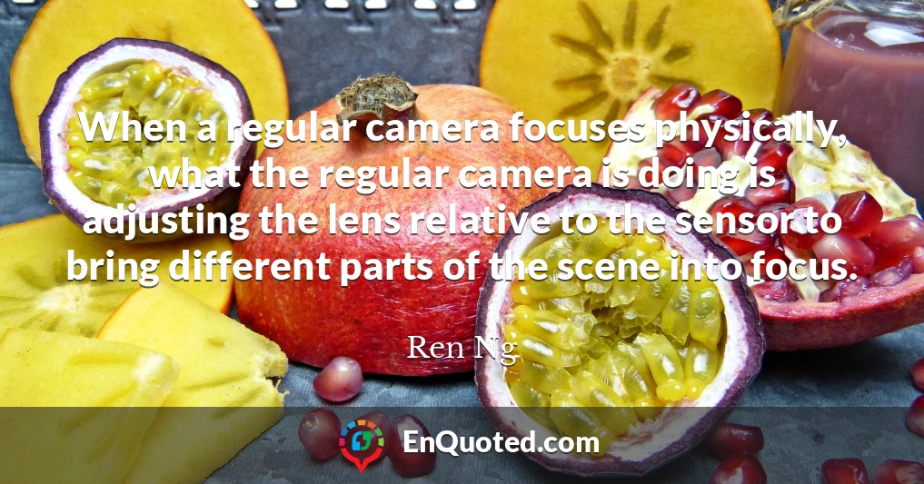When a regular camera focuses physically, what the regular camera is doing is adjusting the lens relative to the sensor to bring different parts of the scene into focus.