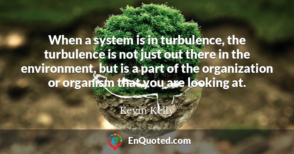 When a system is in turbulence, the turbulence is not just out there in the environment, but is a part of the organization or organism that you are looking at.