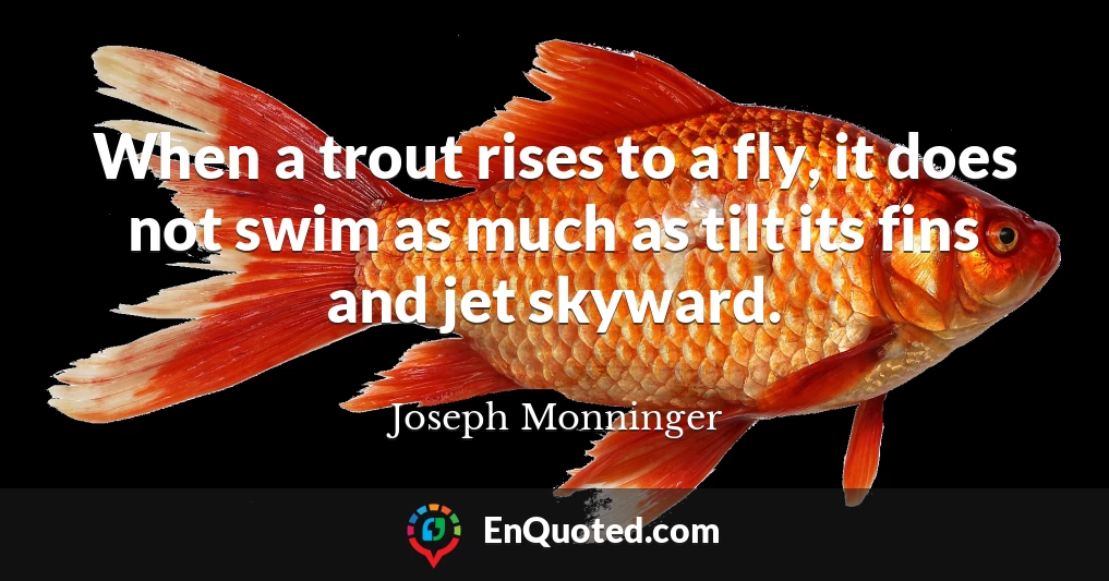 When a trout rises to a fly, it does not swim as much as tilt its fins and jet skyward.