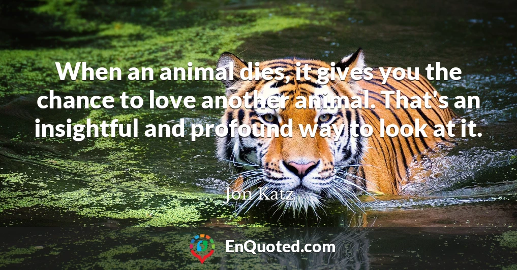 When an animal dies, it gives you the chance to love another animal. That's an insightful and profound way to look at it.