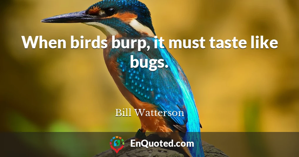 When birds burp, it must taste like bugs.