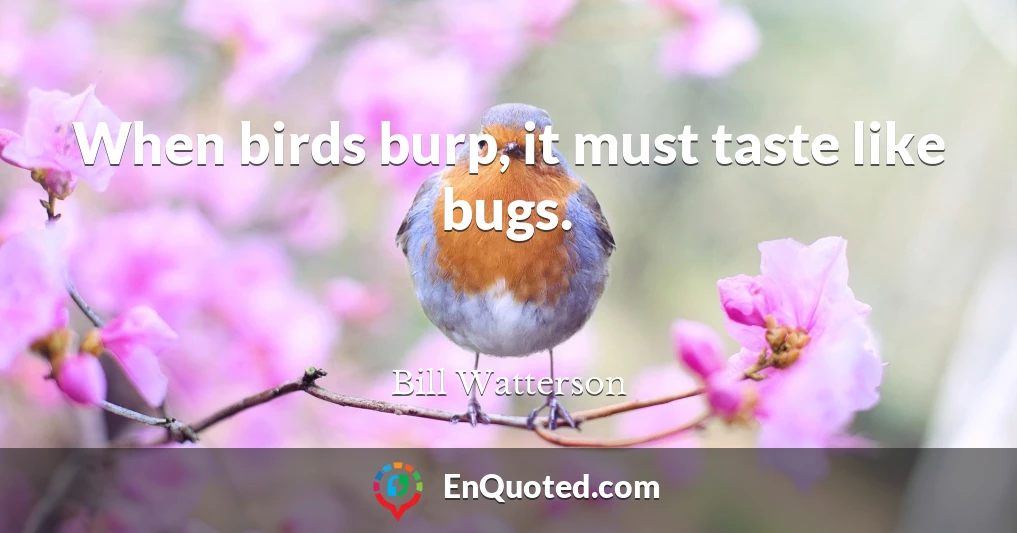 When birds burp, it must taste like bugs.