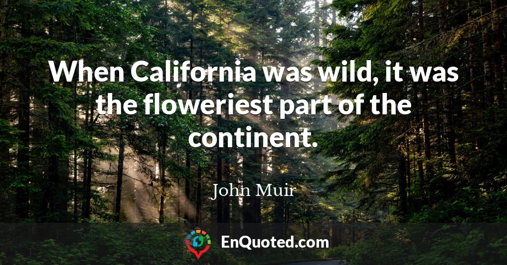 When California was wild, it was the floweriest part of the continent.