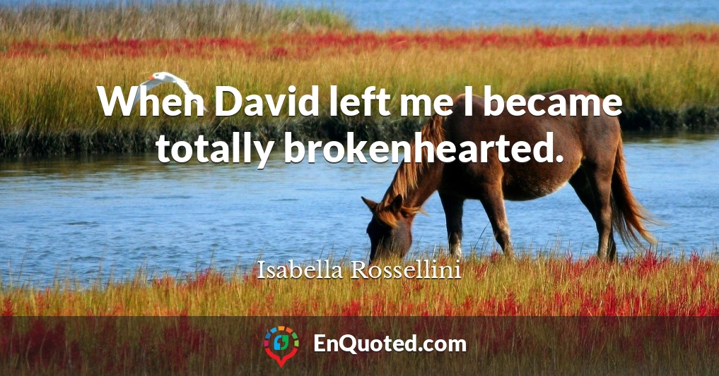 When David left me I became totally brokenhearted.