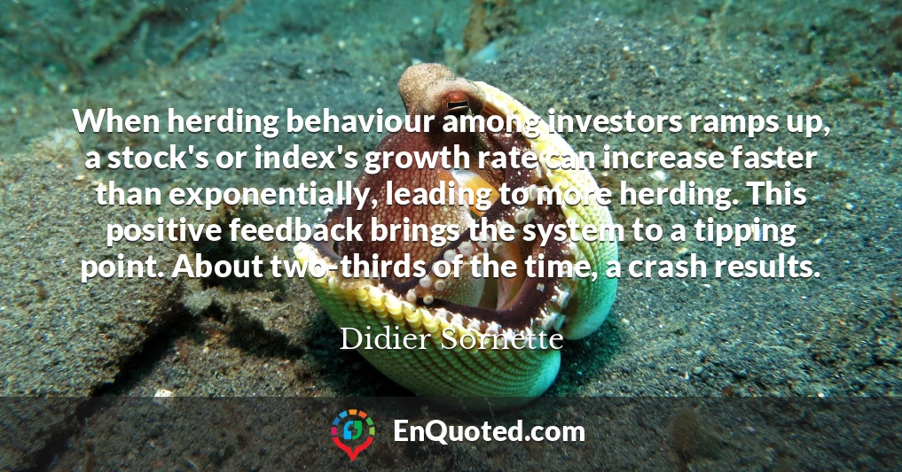 When herding behaviour among investors ramps up, a stock's or index's growth rate can increase faster than exponentially, leading to more herding. This positive feedback brings the system to a tipping point. About two-thirds of the time, a crash results.