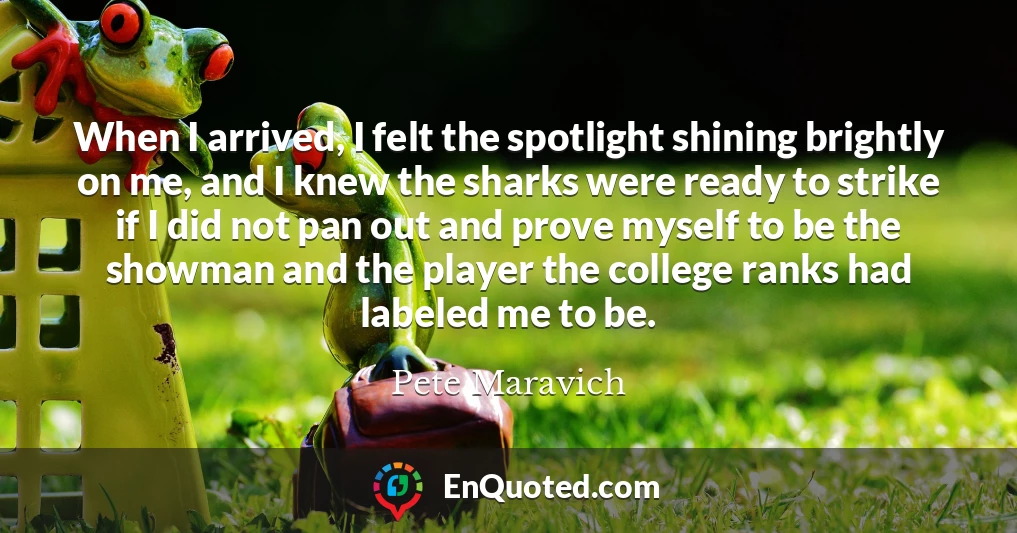 When I arrived, I felt the spotlight shining brightly on me, and I knew the sharks were ready to strike if I did not pan out and prove myself to be the showman and the player the college ranks had labeled me to be.