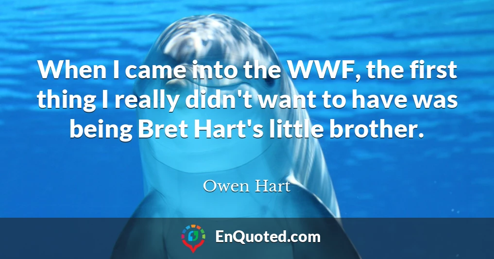 When I came into the WWF, the first thing I really didn't want to have was being Bret Hart's little brother.