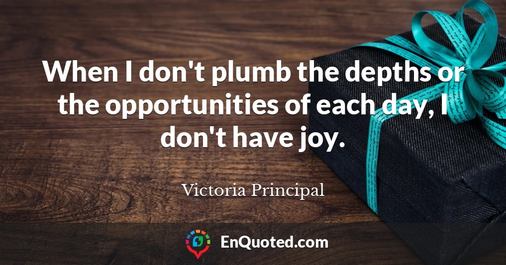 When I don't plumb the depths or the opportunities of each day, I don't have joy.