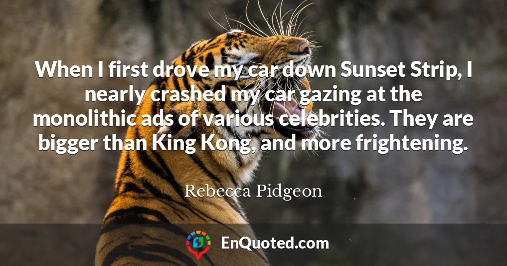 When I first drove my car down Sunset Strip, I nearly crashed my car gazing at the monolithic ads of various celebrities. They are bigger than King Kong, and more frightening.